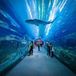 How to Make the Most of Your 2023 Visit to the Dubai Mall Aquarium: Insider Tips